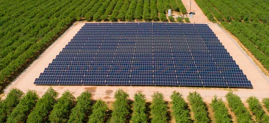 Clube Agro e BRLK vão levar energia solar às propriedades rurais