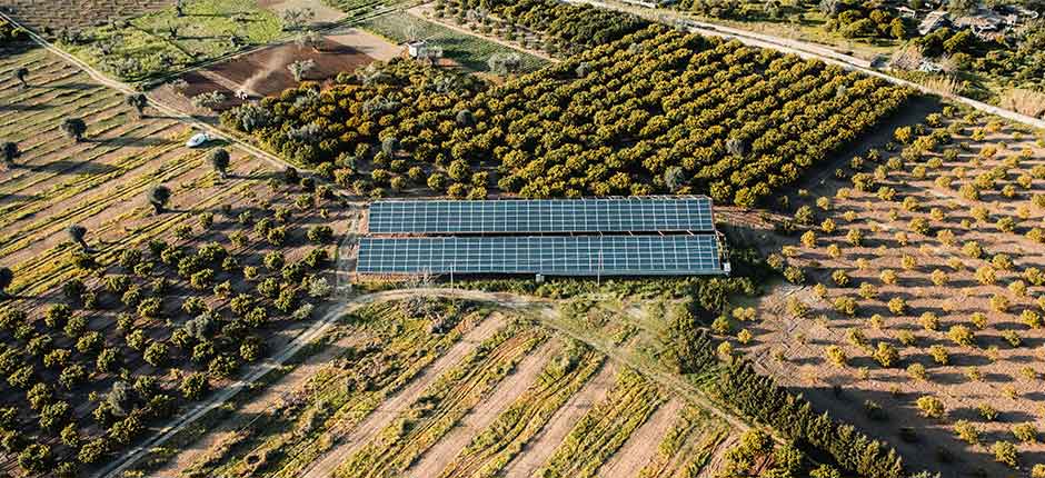 Integração de Agricultura e Energia Solar: Saiba Como o Brasil