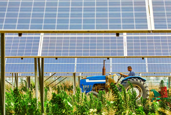 Integração de Agricultura e Energia Solar: Saiba Como o Brasil